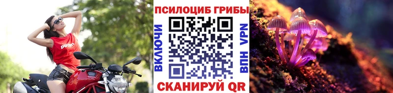 Псилоцибиновые грибы GOLDEN TEACHER  Чебоксары 
