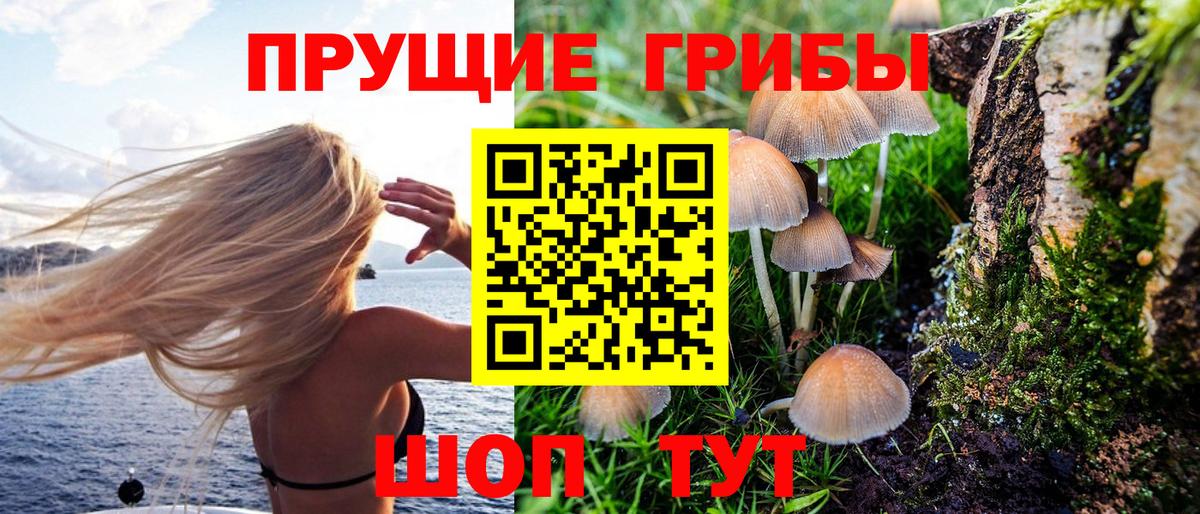 Галлюциногенные грибы MAGIC MUSHROOMS Чебоксары