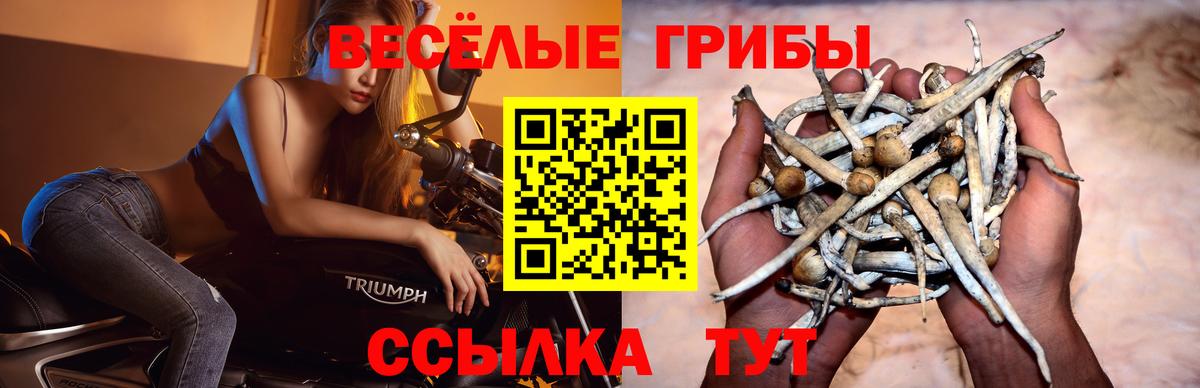 Галлюциногенные грибы Magic Shrooms  Вход с VPN  Чебоксары 