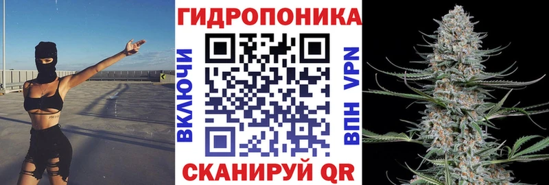 Бошки марихуана VHQ Чебоксары